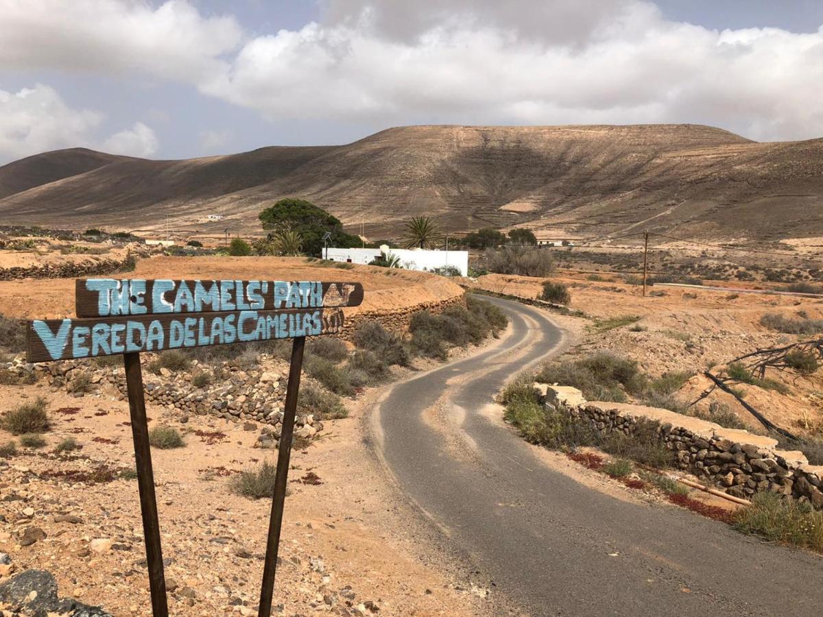 Vereda De Las Camellas Hotel Puerto del Rosario  Bagian luar foto